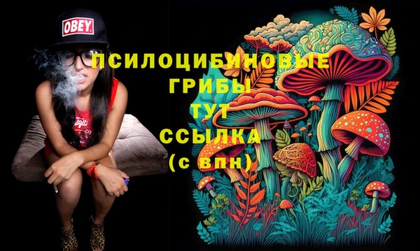 дурь Беломорск