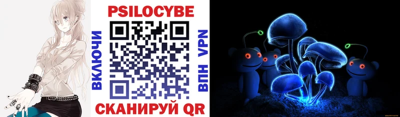 Псилоцибиновые грибы Psilocybine cubensis  Янаул 