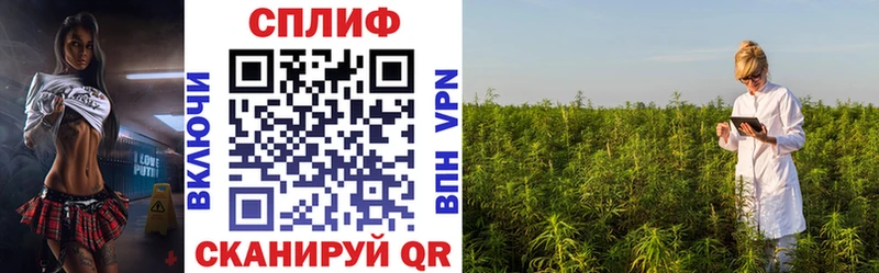 Канабис индика  где купить наркоту  Янаул 